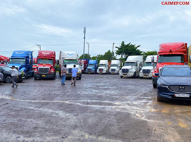 Công ty Logistics hàng đầu tại khu vực Cái Mép, Phú Mỹ